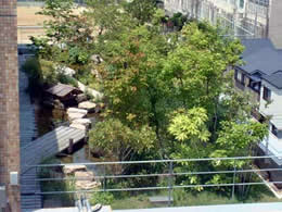 屋上緑化・壁面緑化の事例写真